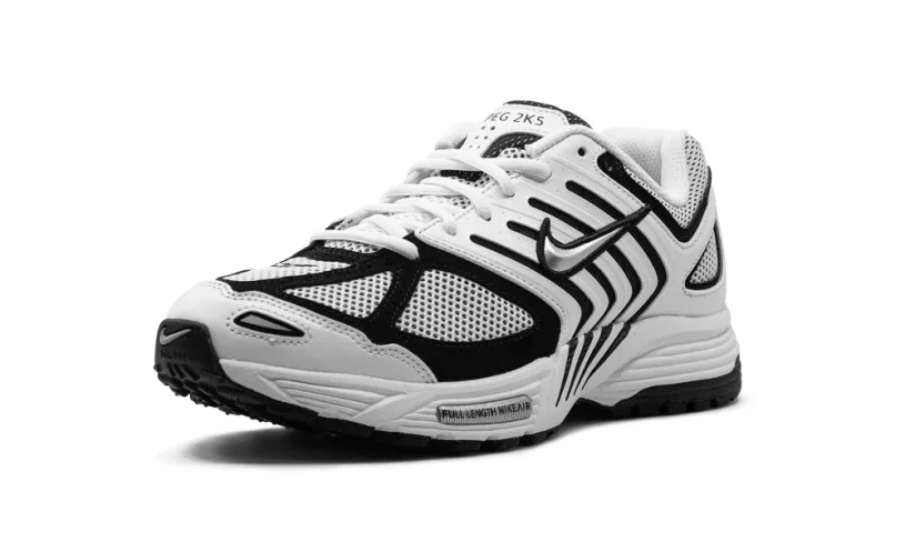 Nike Lifestyle Air Pegasus 2K5 'White Black'